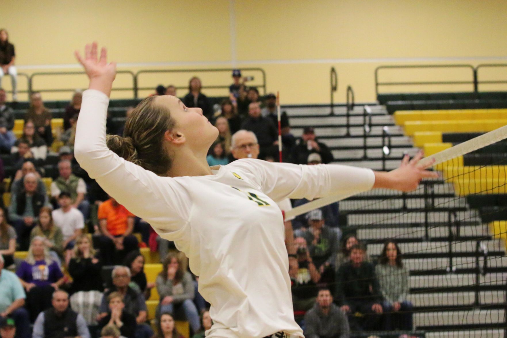VALLEY BOUND: Golden Bears dispatch Mustangs, advance to championship